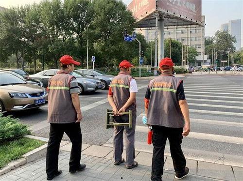 热心的朝阳群众吃瓜51 寿光网红大瓜,寿光网红大瓜背后的故事